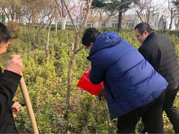 1617336867785041.jpg 7.jpg