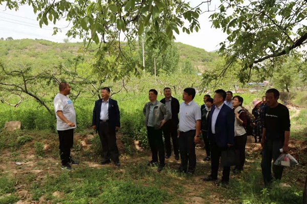 1620717384814726.jpg 4.jpg