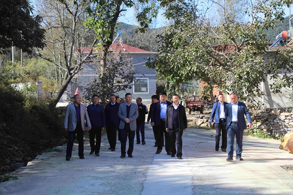 1656470416136380.jpg 1.JPG